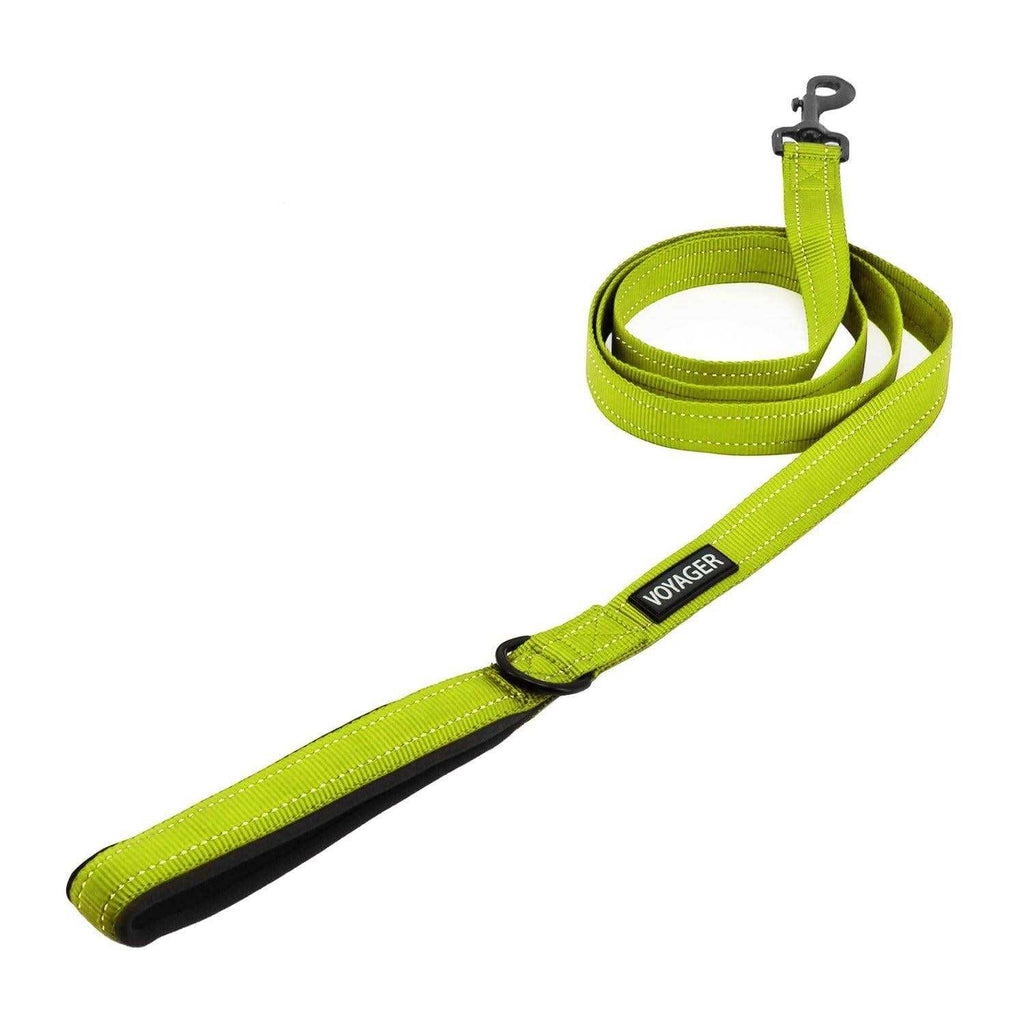 Reflective Dog Leash with Neoprene Handle, 5ft Z581240