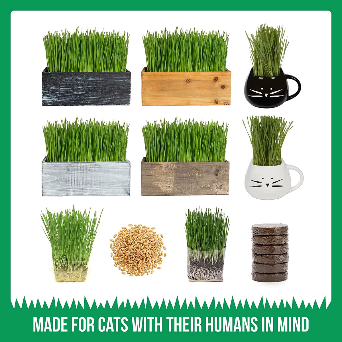 Organic Cat Grass Kit with Seed Mix and Soil S1012