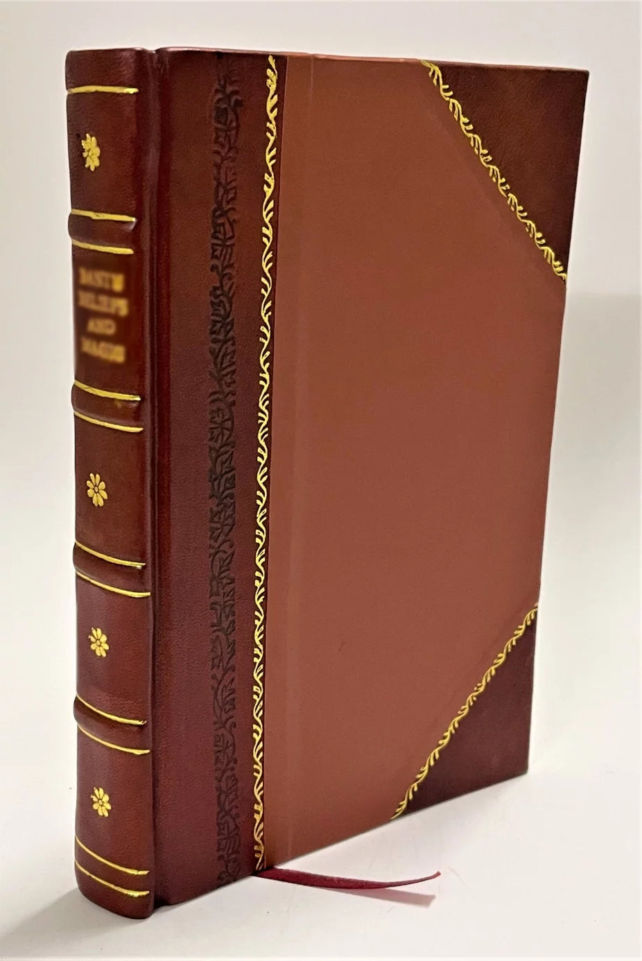 I molluschi dei terreni terziarii del Piemonte e della Liguria Volume p24 Leather Bound J937973