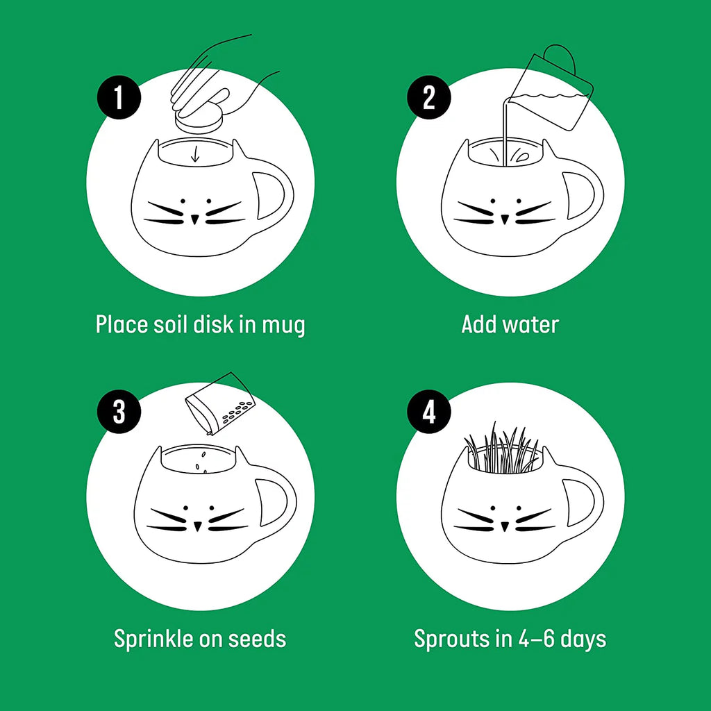 Organic Cat Grass Kit with Seed Mix and Soil S1012