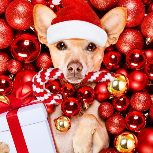 24 Pieces Christmas Dog Rope Toys K9706