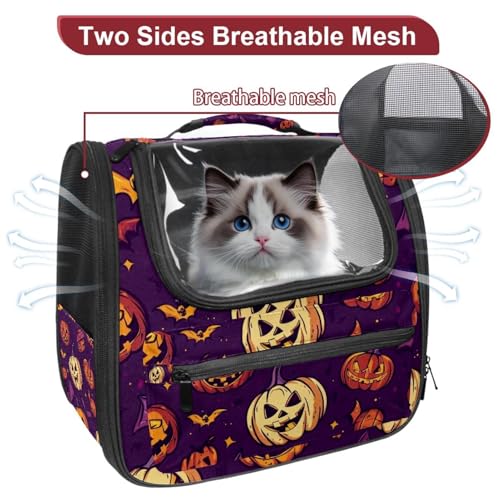 Airline Approved Pet Carrier Bag C79909