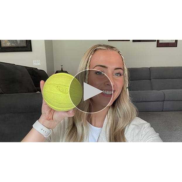 Dog Ball Dog Toy E926