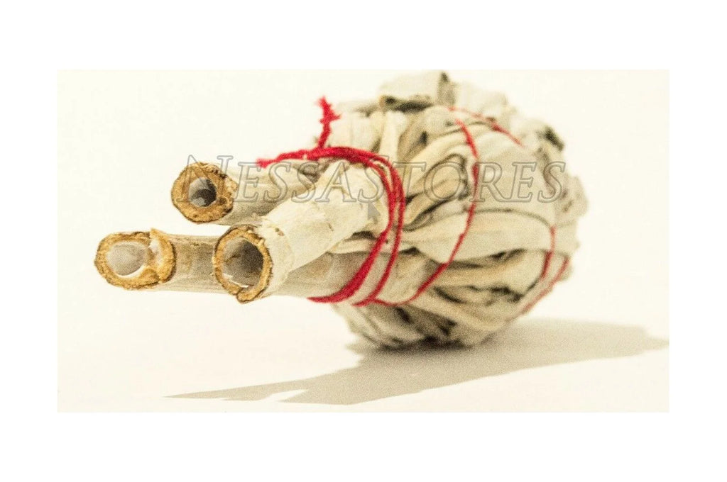 White Sage Smudge Incense 12 pcs B686
