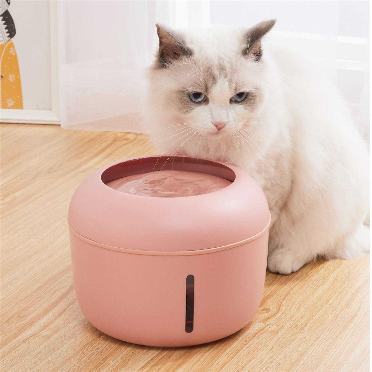 Ultra-Quiet Filtered Dog and Cat Fountain Waterer V455524