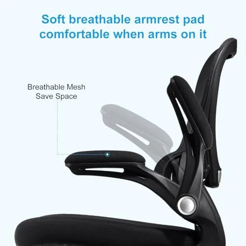 Ergonomic Mesh Office Chair with Lumbar Support Black C8054