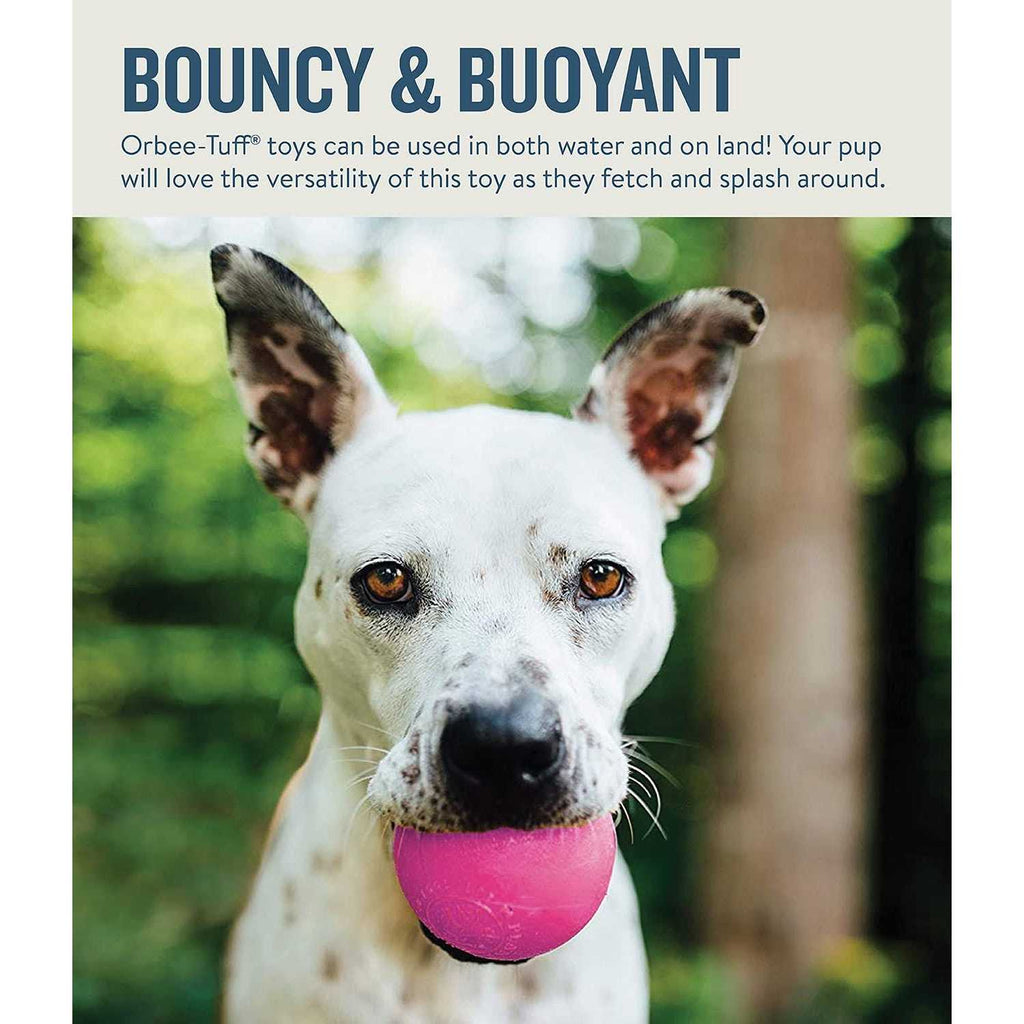 Squeak Toy Ball C925092