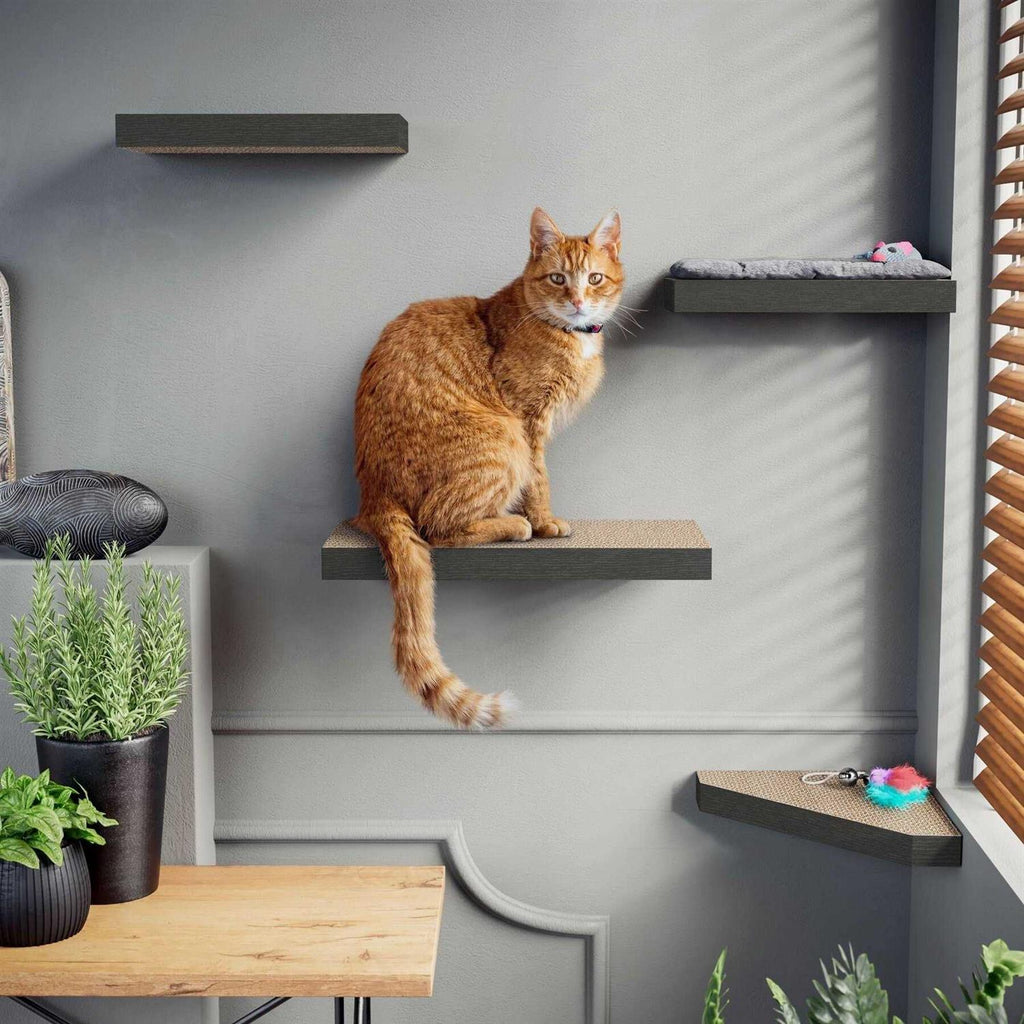 Cat Scratcher Floating Shelf Combo L54108