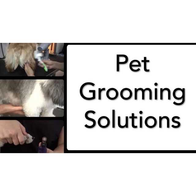 Pet Hair Clipper Kit Z285871