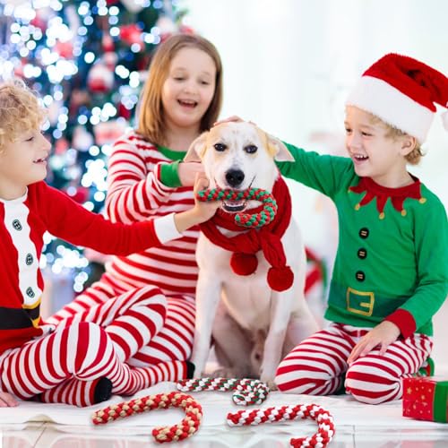24 Pieces Christmas Dog Rope Toys K9706