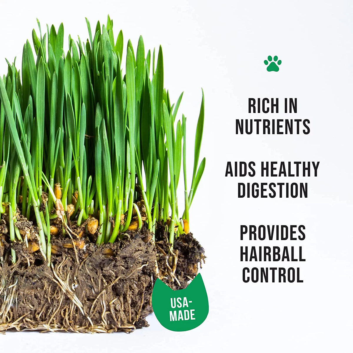 Organic Cat Grass Kit with Seed Mix and Soil S1012