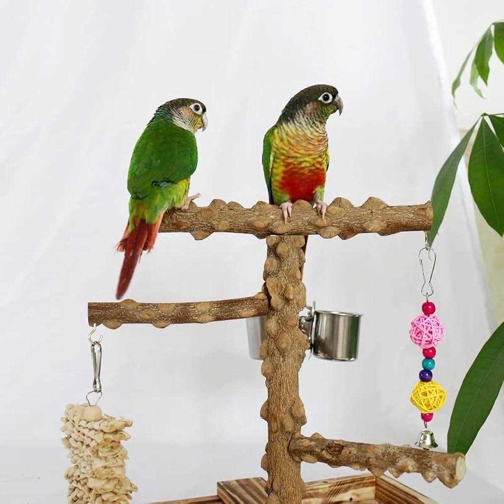 Wood Bird Perch Platform Stand T87852
