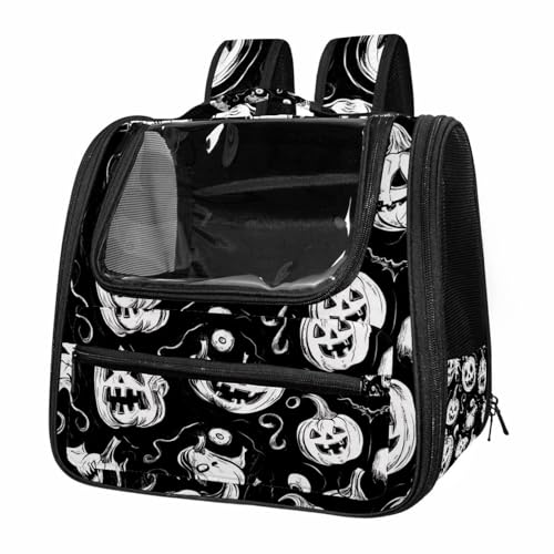 Airline Approved Pet Carrier Bag C79909