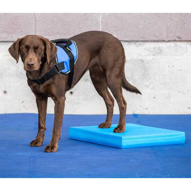Balance Pad Y4345