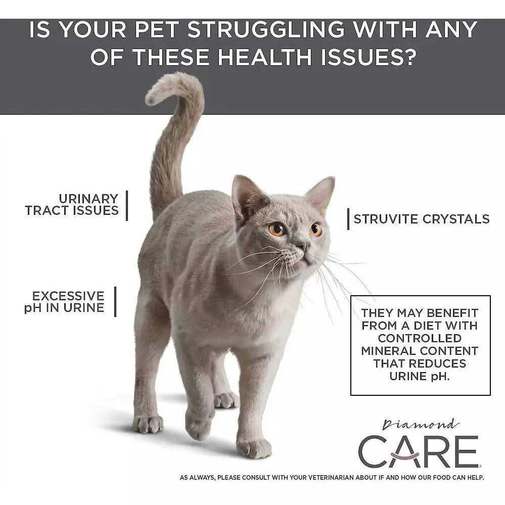 Adult Dry Cat Food N511132
