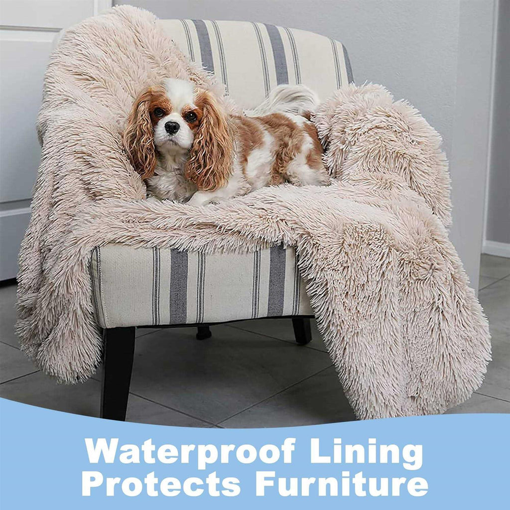 Throw Blanket W596090