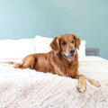 Throw Blanket W596090