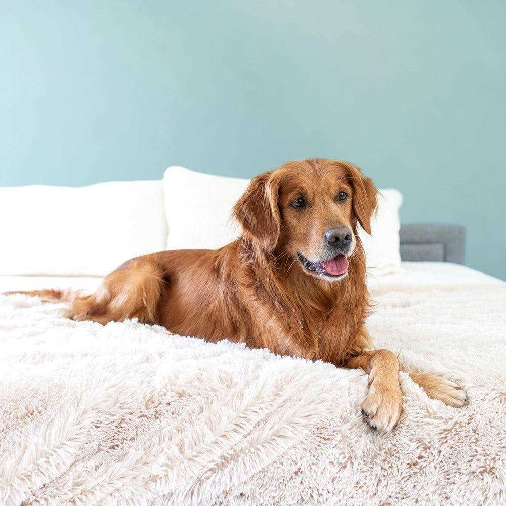 Throw Blanket W596090
