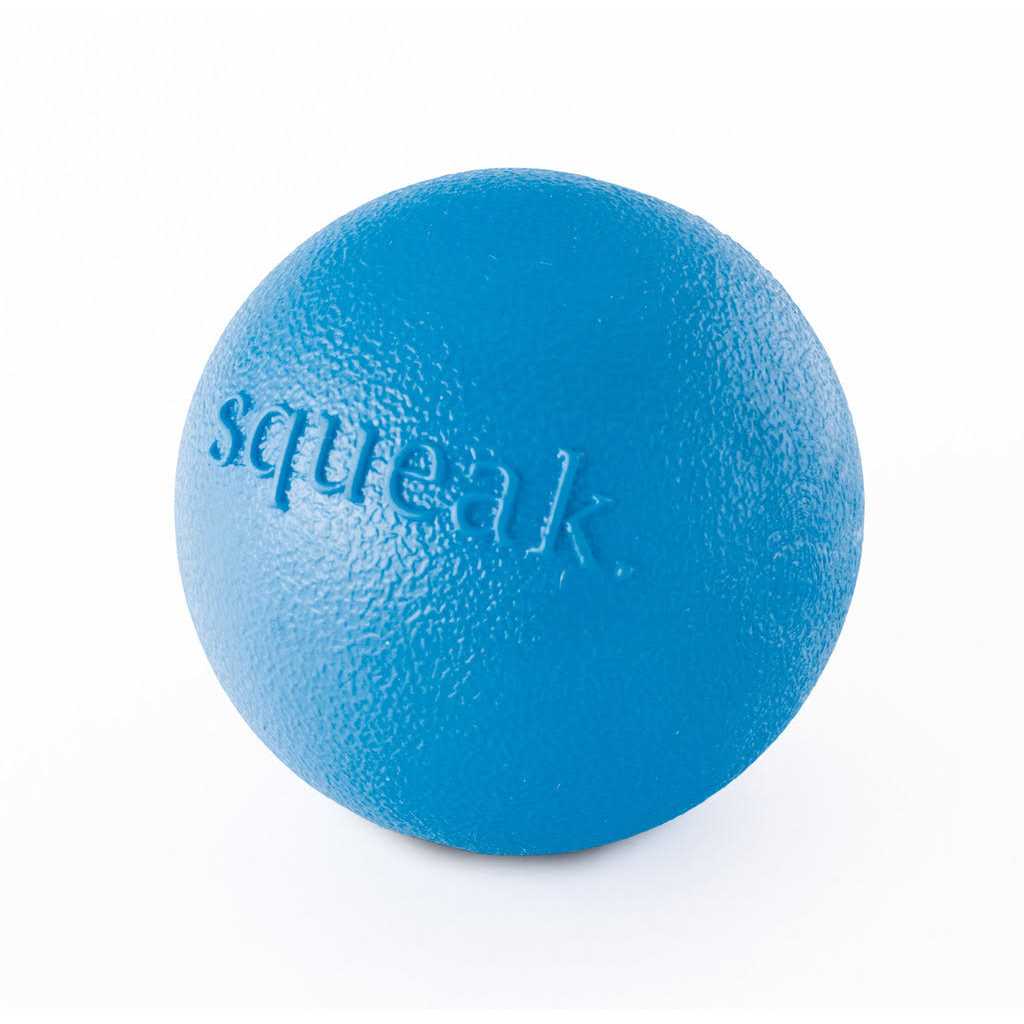Squeak Toy Ball C925092