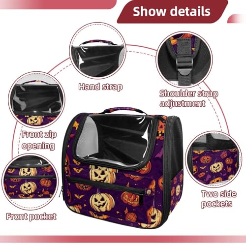Airline Approved Pet Carrier Bag C79909