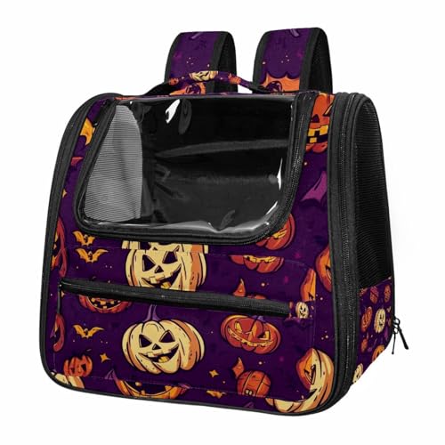 Airline Approved Pet Carrier Bag C79909