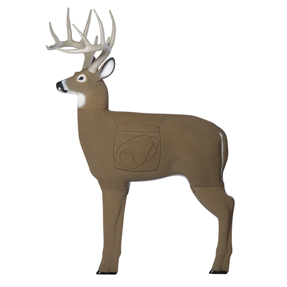 3D Target P6042