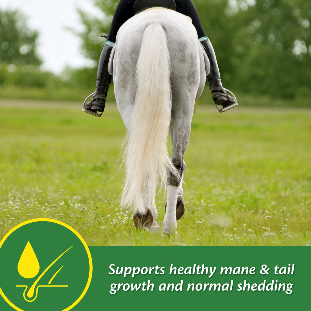 Horse Skin & Coat Supplement 5 Pound V8297