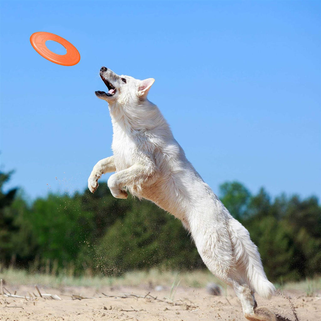 Dog Toy R971