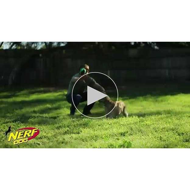Dog Ball Dog Toy E926