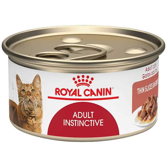 Adult Thin Slices in Gravy Cat Food P31206