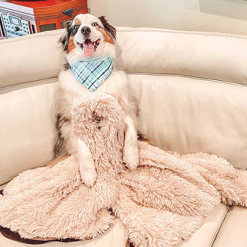 Throw Blanket W596090