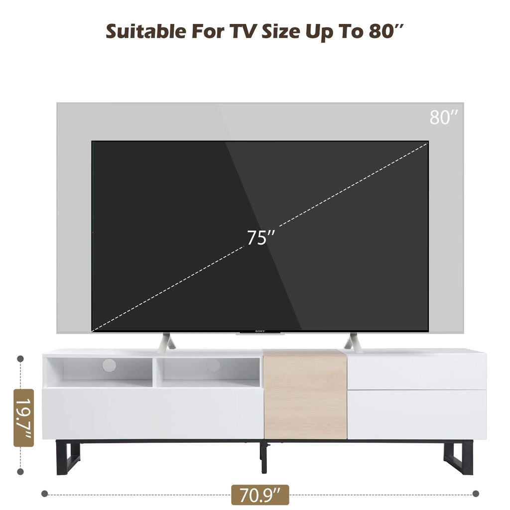 Modern TV Stand with Double Storage Space F24088