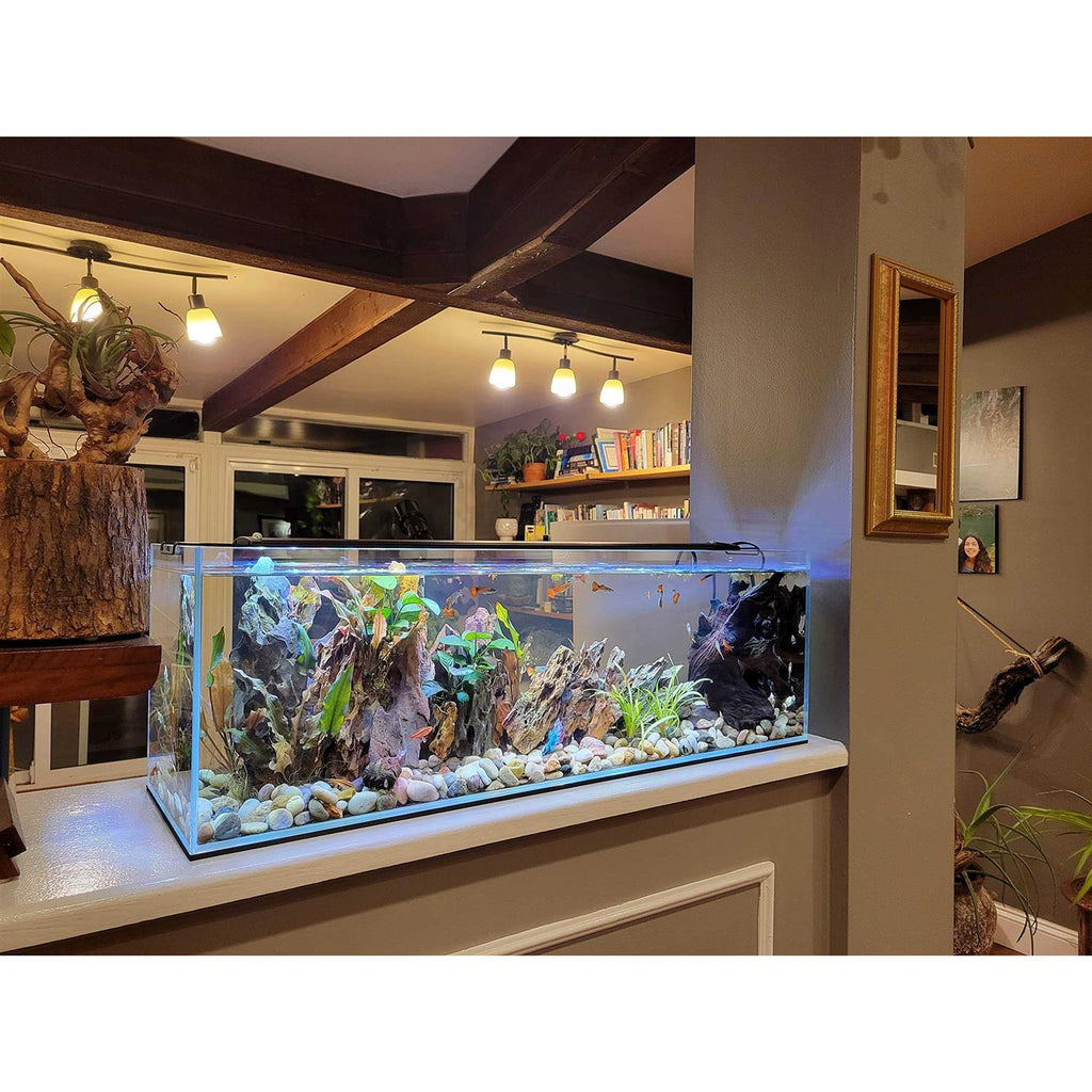 16 Gallon Clear Glass Bookshelf Aquarium I21809