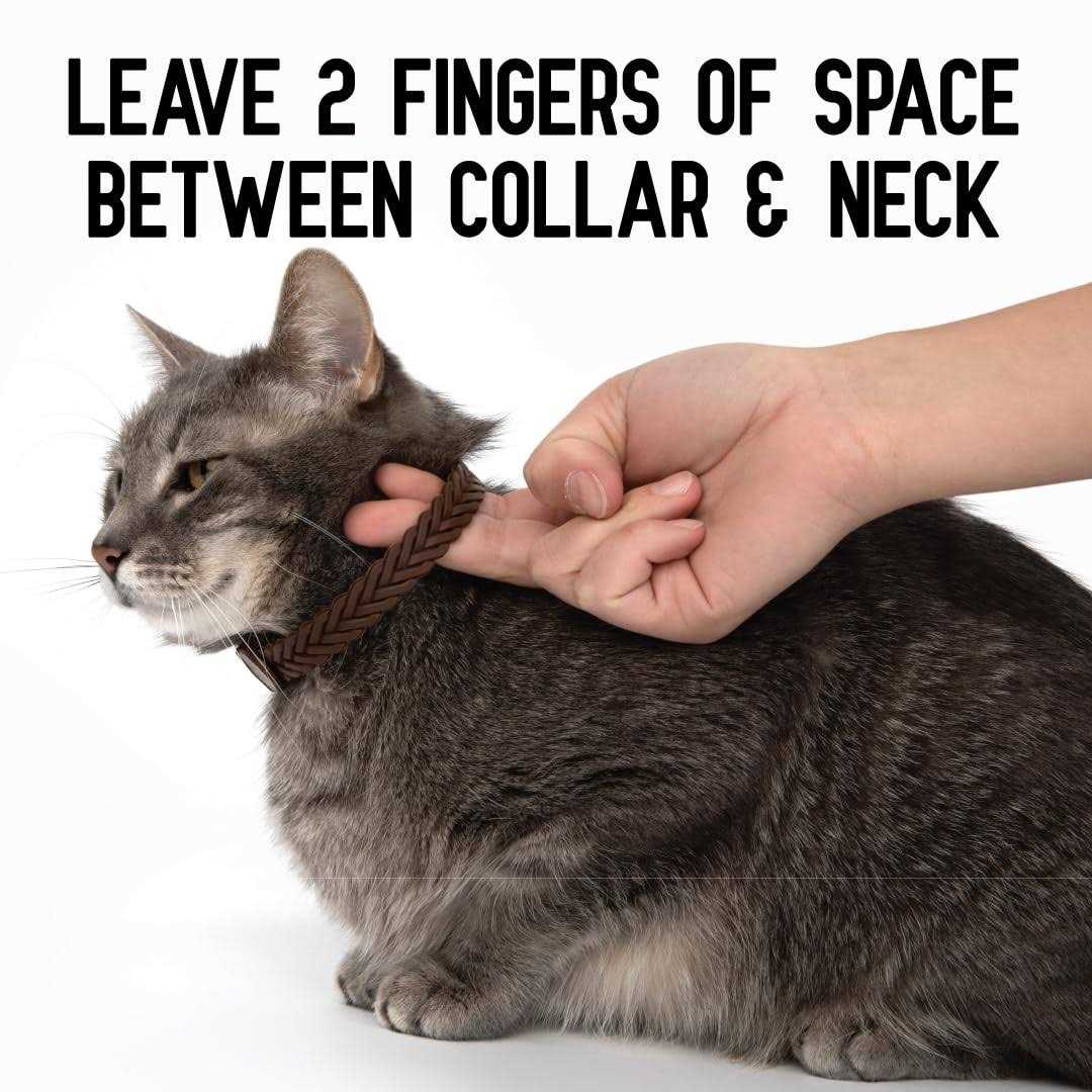 Hip + Joint Mobility Collar for Cats N252
