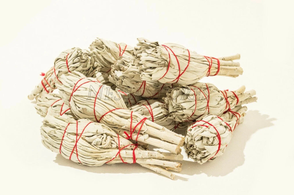 White Sage Smudge Incense 12 pcs B686