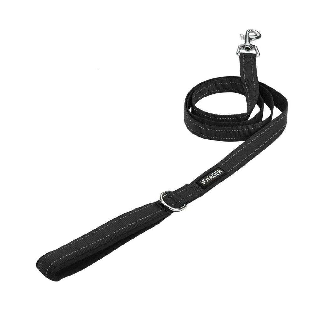 Reflective Dog Leash with Neoprene Handle, 5ft Z581240