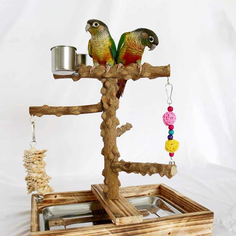 Wood Bird Perch Platform Stand T87852