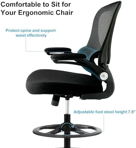 Ergonomic Mesh Office Chair with Lumbar Support Black C8054