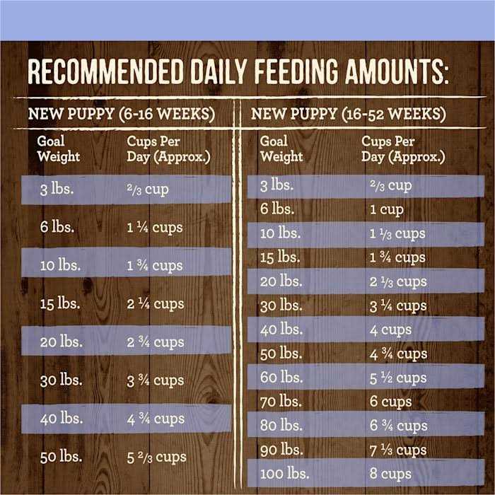 Grain Free Real Beef & Sweet Potato Dry Dog Food B43610