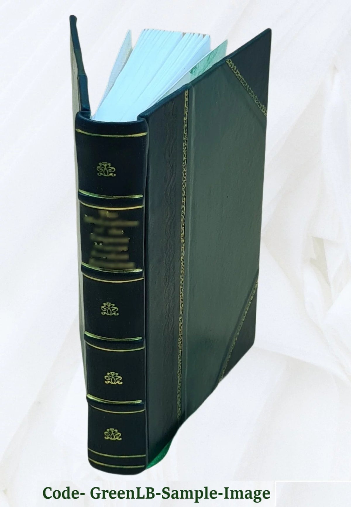 Leather Bound Book O304